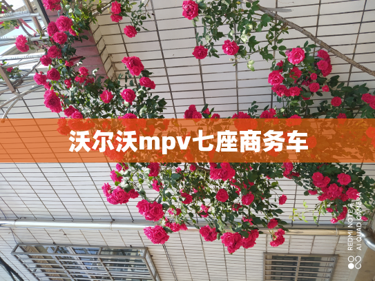 沃尔沃mpv七座商务车