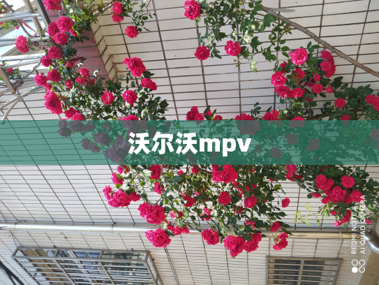 沃尔沃mpv