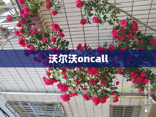 沃尔沃oncall