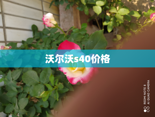 沃尔沃s40价格