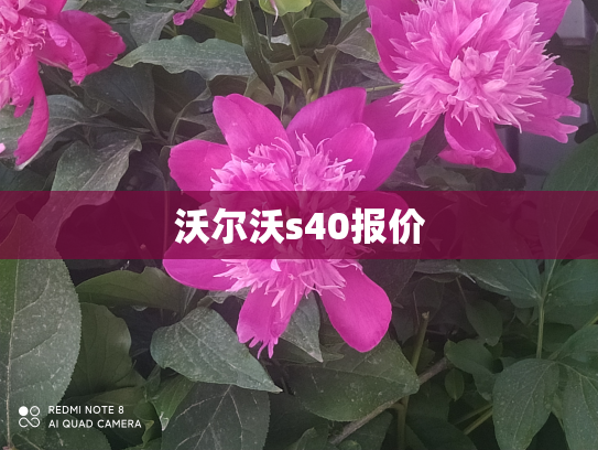 沃尔沃s40报价