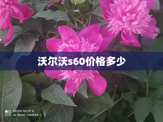 沃尔沃s60价格多少