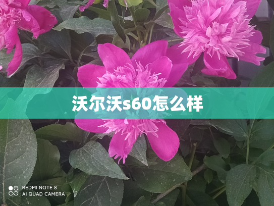沃尔沃s60怎么样