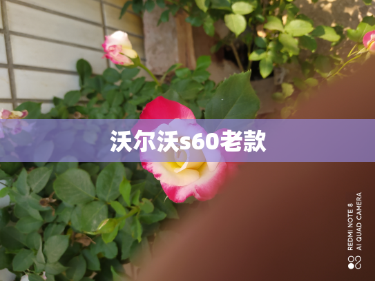 沃尔沃s60老款