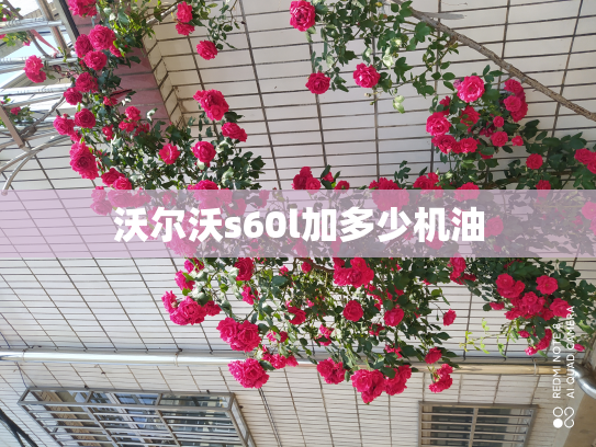 沃尔沃s60l加多少机油