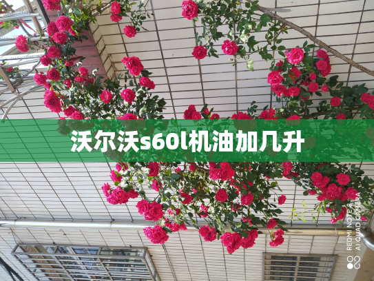 沃尔沃s60l机油加几升