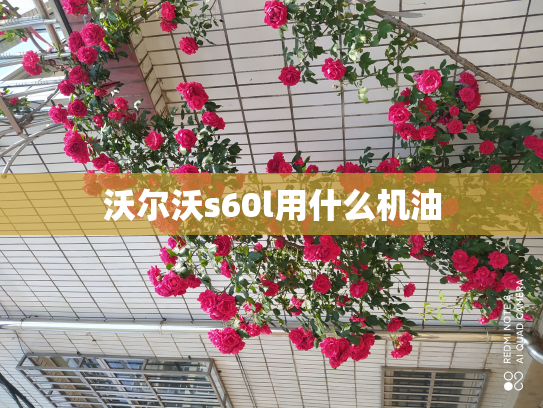 沃尔沃s60l用什么机油