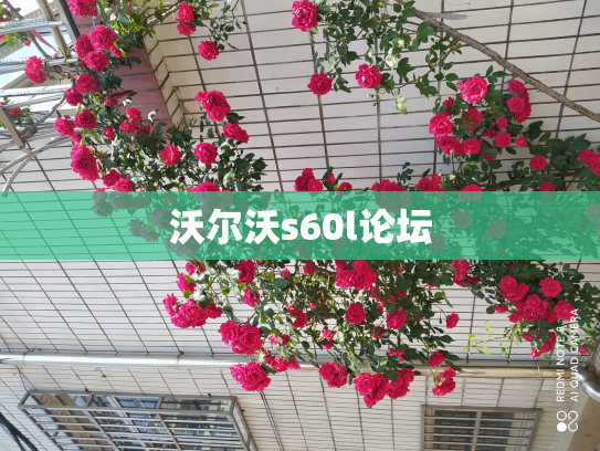 沃尔沃s60l论坛