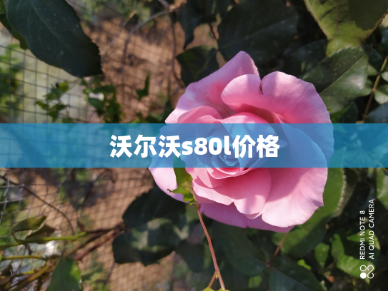 沃尔沃s80l价格