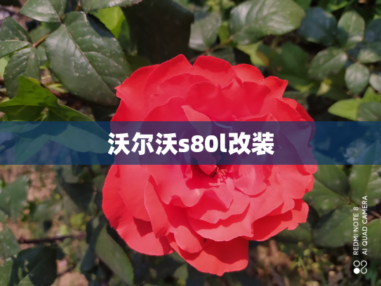 沃尔沃s80l改装