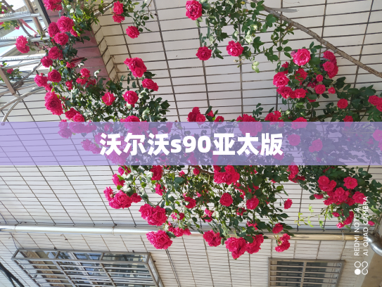 沃尔沃s90亚太版
