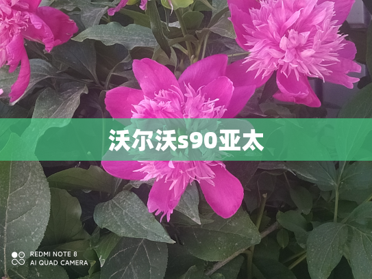 沃尔沃s90亚太