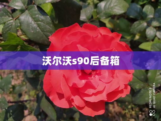 沃尔沃s90后备箱