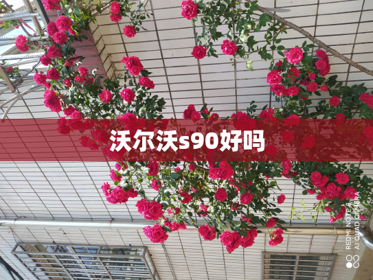 沃尔沃s90好吗