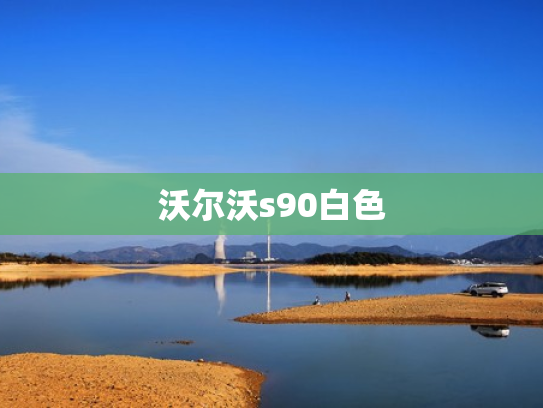 沃尔沃s90白色