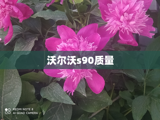 沃尔沃s90质量