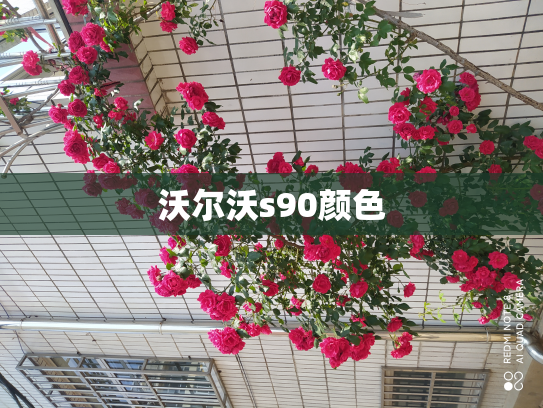 沃尔沃s90颜色