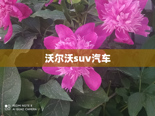 沃尔沃suv汽车