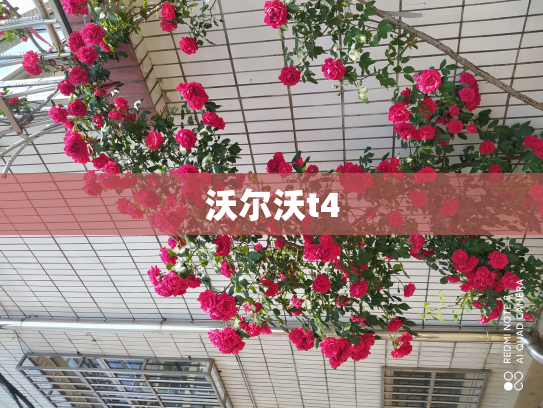 沃尔沃t4