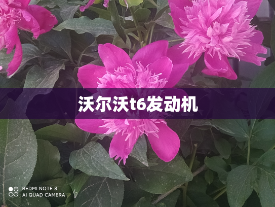 沃尔沃t6发动机