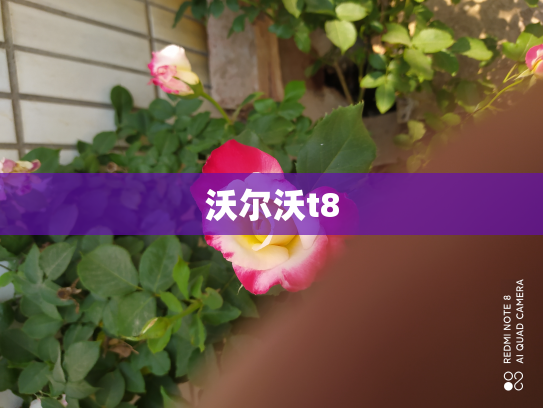 沃尔沃t8