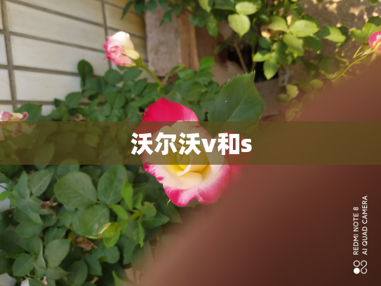 沃尔沃v和s