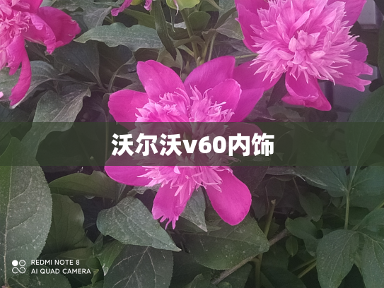 沃尔沃v60内饰