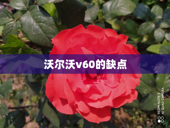 沃尔沃v60的缺点