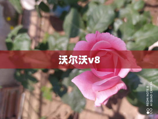 沃尔沃v8