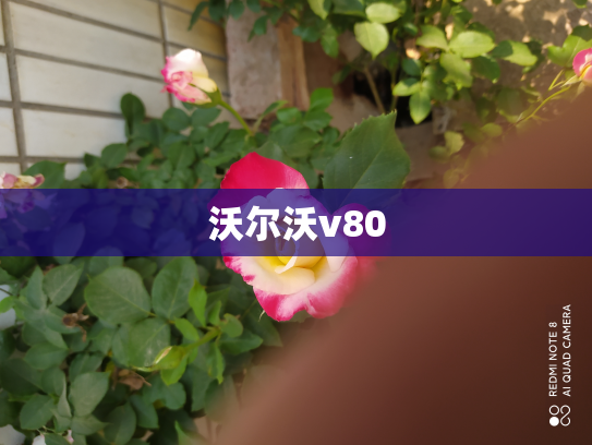 沃尔沃v80