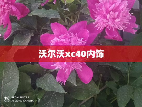 沃尔沃xc40内饰