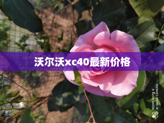 沃尔沃xc40最新价格