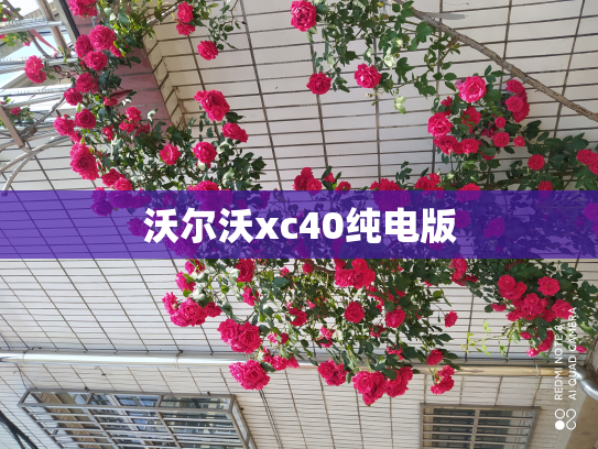 沃尔沃xc40纯电版