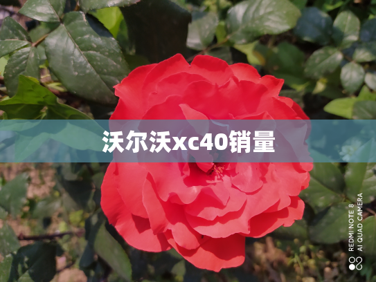 沃尔沃xc40销量