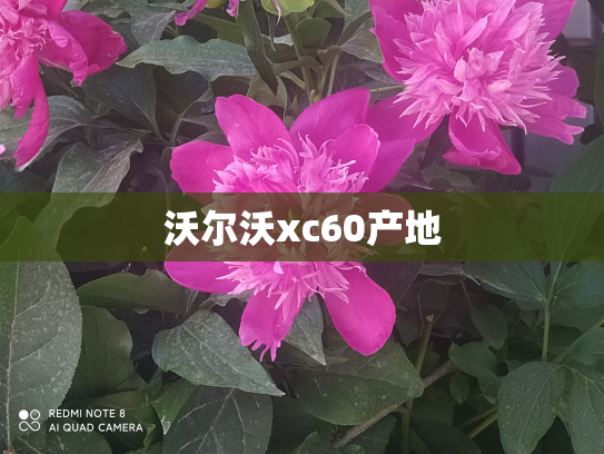 沃尔沃xc60产地