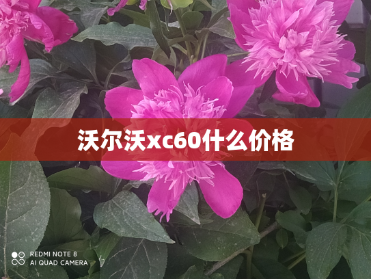 沃尔沃xc60什么价格