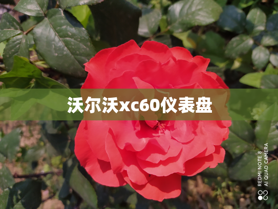沃尔沃xc60仪表盘