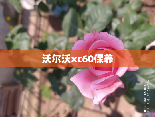 沃尔沃xc60保养