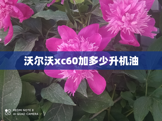 沃尔沃xc60加多少升机油