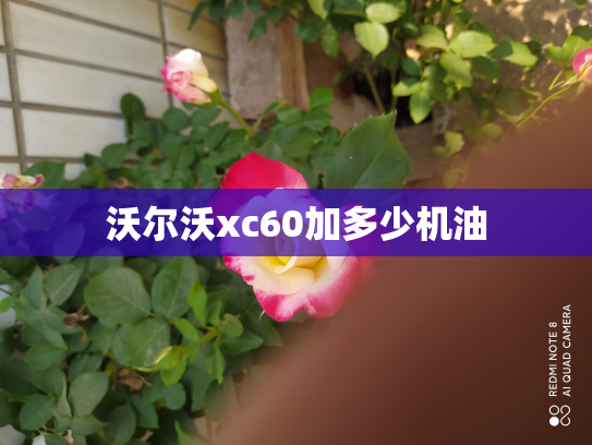 沃尔沃xc60加多少机油