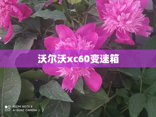 沃尔沃xc60变速箱