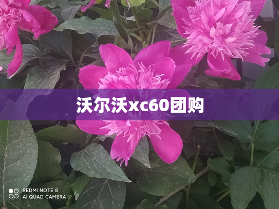 沃尔沃xc60团购