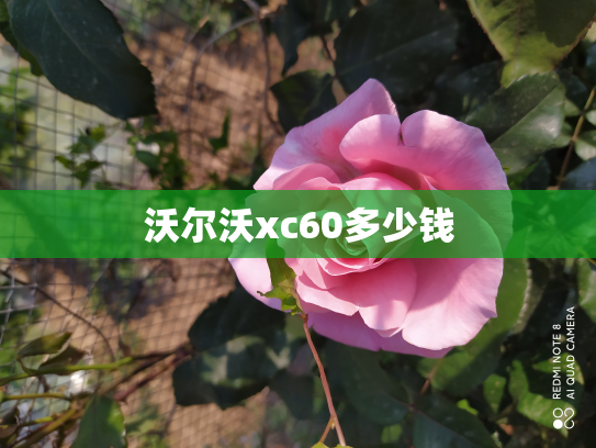沃尔沃xc60多少钱