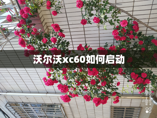 沃尔沃xc60如何启动