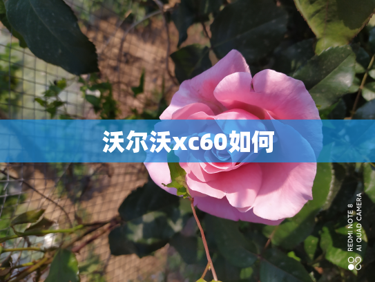 沃尔沃xc60如何