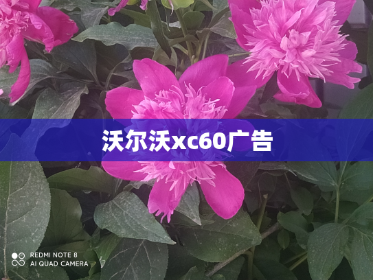 沃尔沃xc60广告