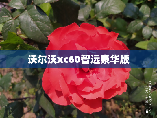 沃尔沃xc60智远豪华版