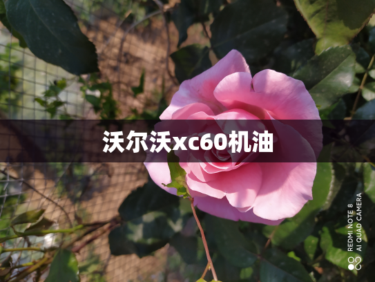 沃尔沃xc60机油