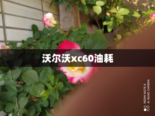 沃尔沃xc60油耗