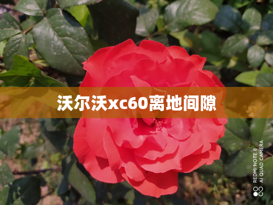 沃尔沃xc60离地间隙